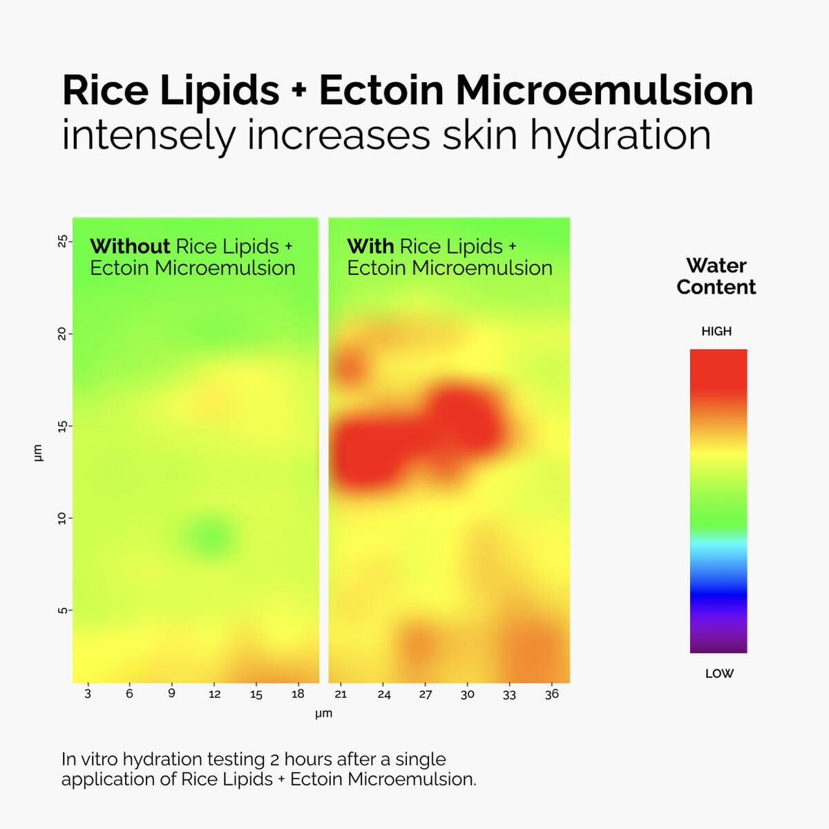 Rice Lipids + Ectoin Ultra-Light Microemulsion