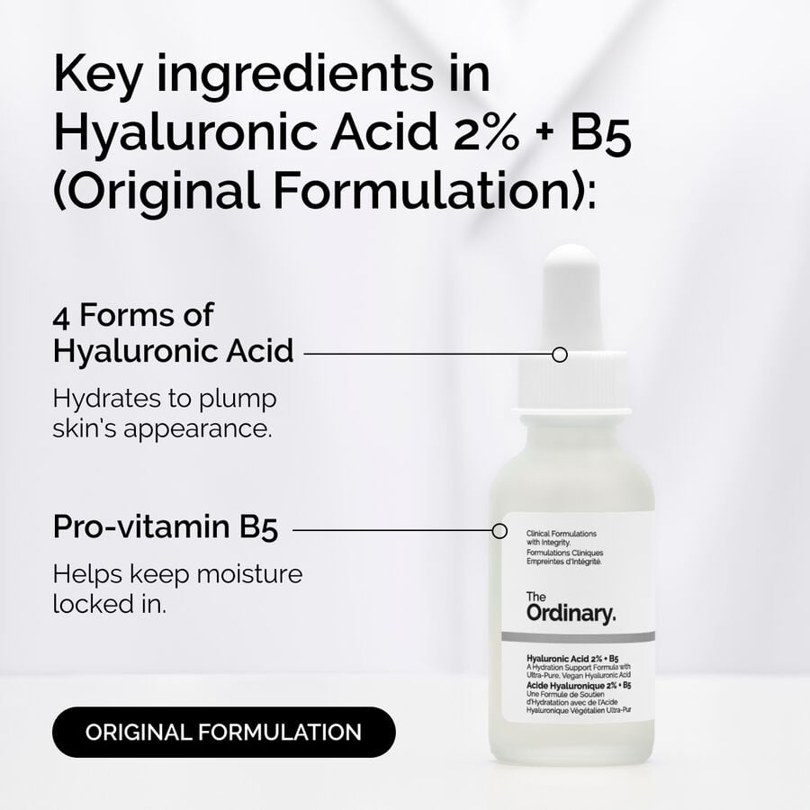 Hyaluronic Acid 2% + B5 Original Hydrating Serum