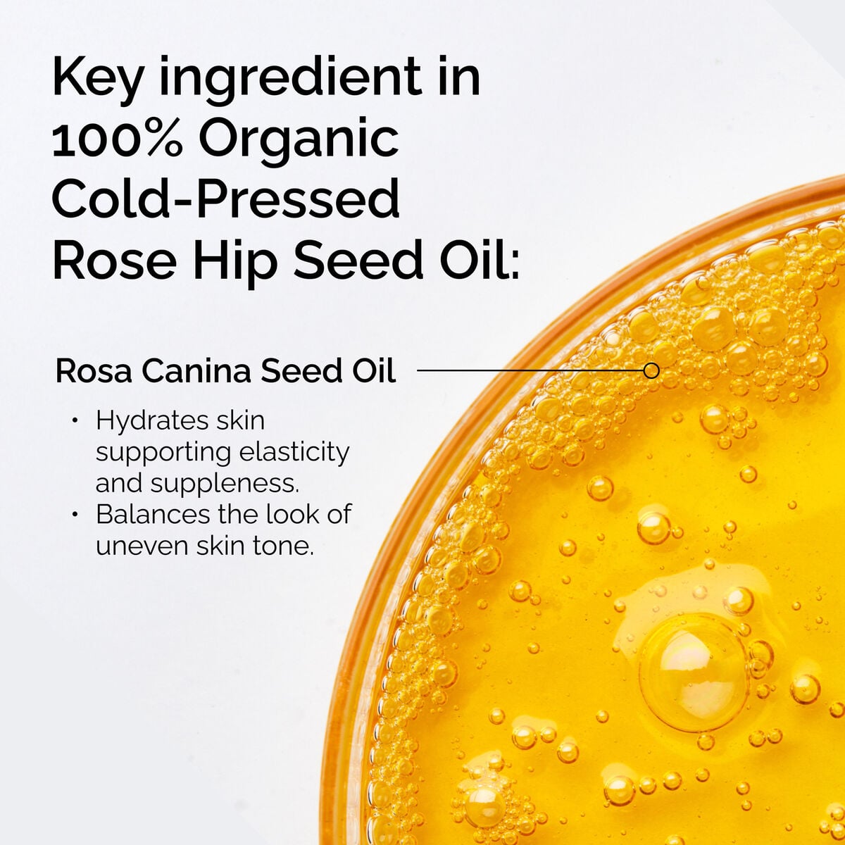 Organic Rose Hip Seed Oil, 100% Cold-Pressed