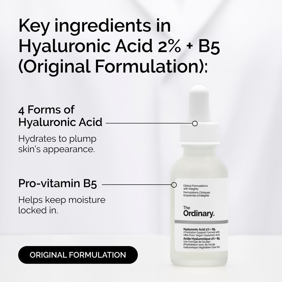 Hyaluronic Acid 2% + B5 Original Hydrating Serum